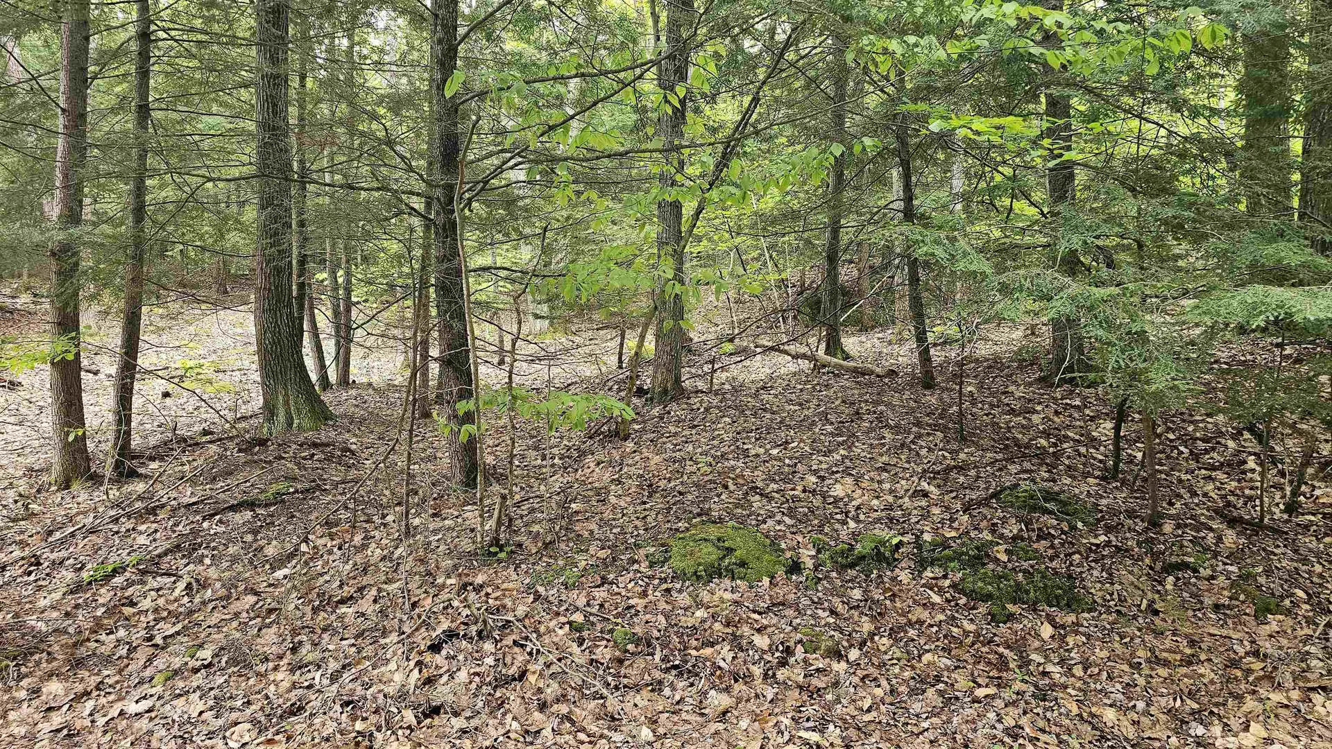 000 Pocumtuck Way Gilmanton NH 03237