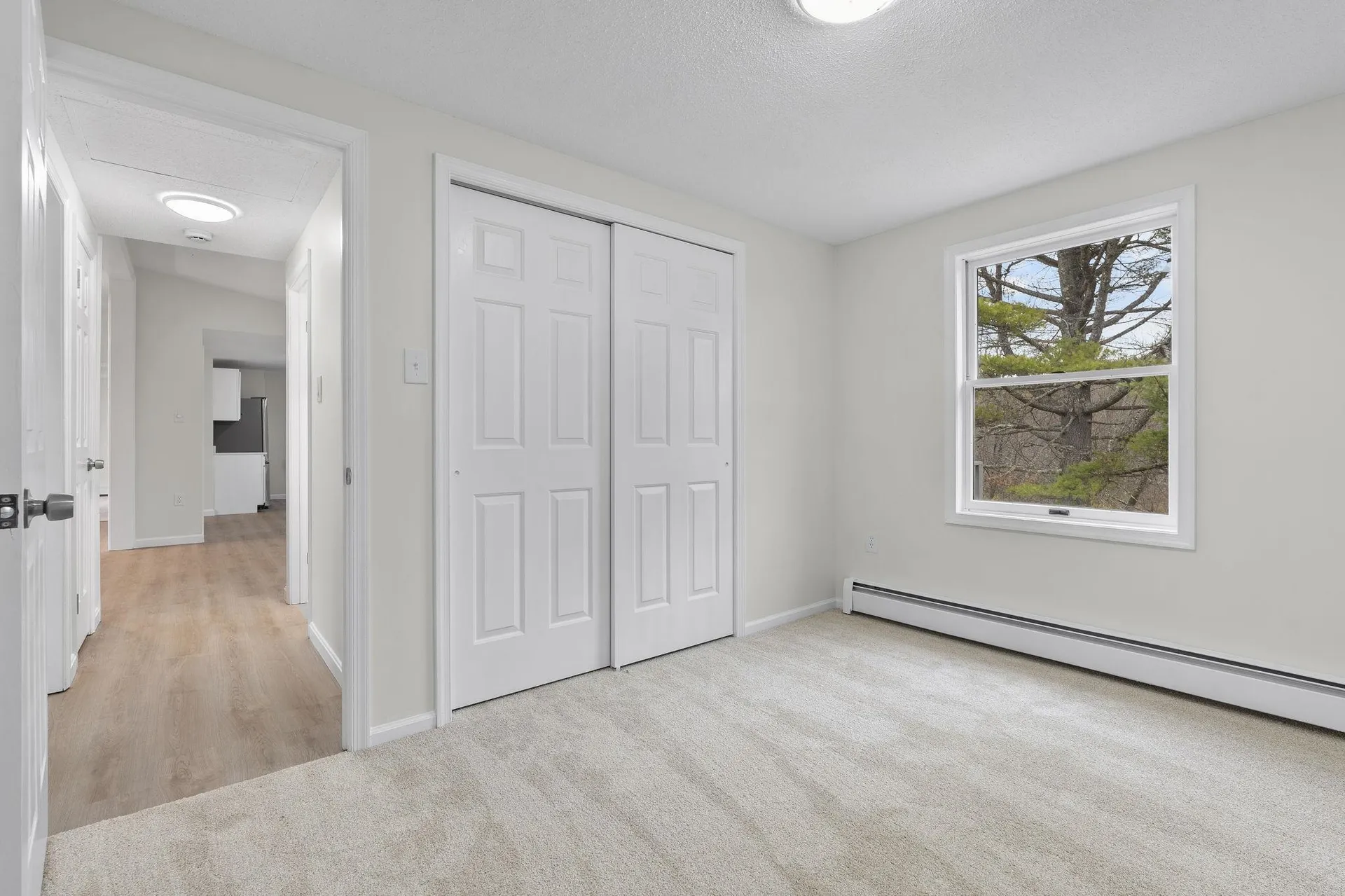 167 School Pond Road Danbury NH 03230