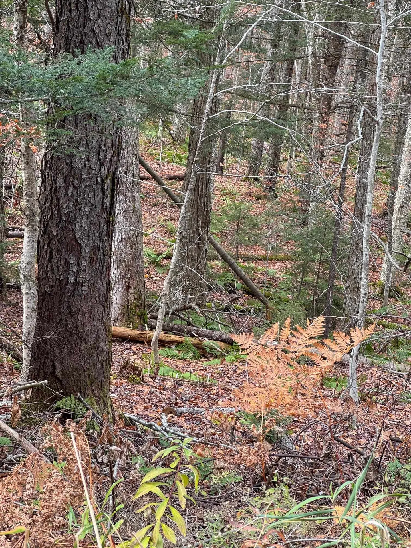 00 Hawk Spur Road Plymouth VT 05056