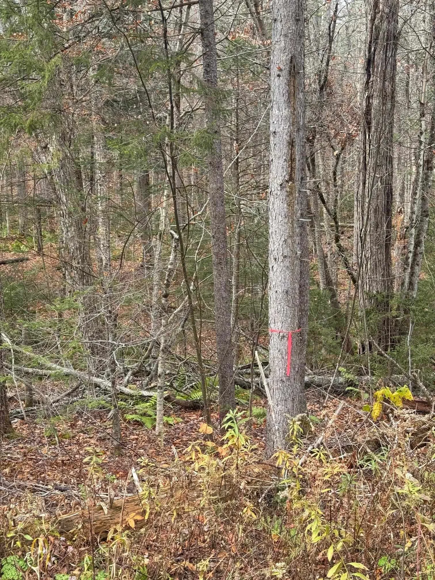 00 Hawk Spur Road Plymouth VT 05056