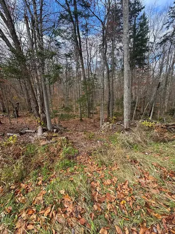 00 Hawk Spur Road Plymouth VT 05056
