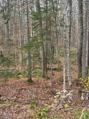 00 Hawk Spur Road Plymouth VT 05056