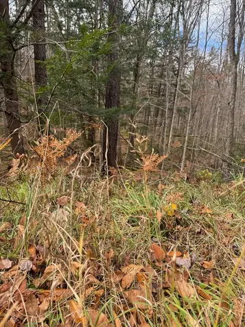 00 Hawk Spur Road Plymouth VT 05056