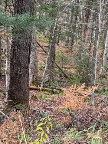 00 Hawk Spur Road Plymouth VT 05056