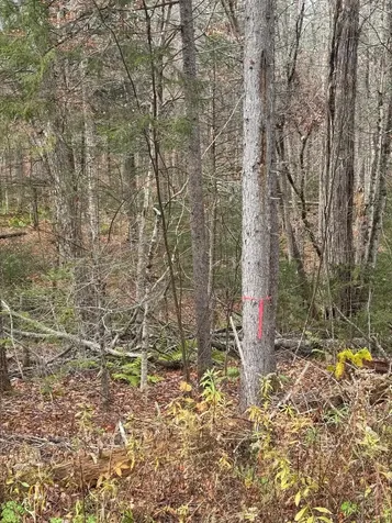 00 Hawk Spur Road Plymouth VT 05056