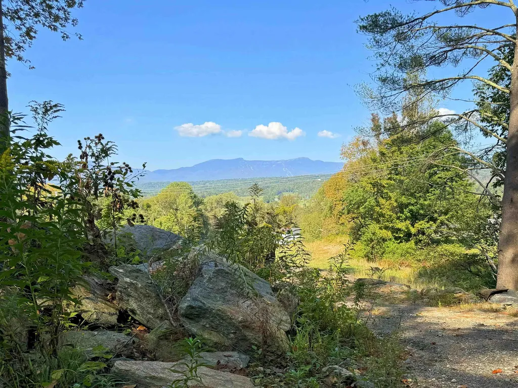 Lot 4 Pucker Street Stowe VT 05672