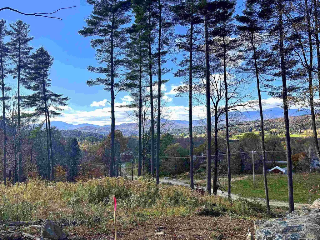 Lot 4 Pucker Street Stowe VT 05672