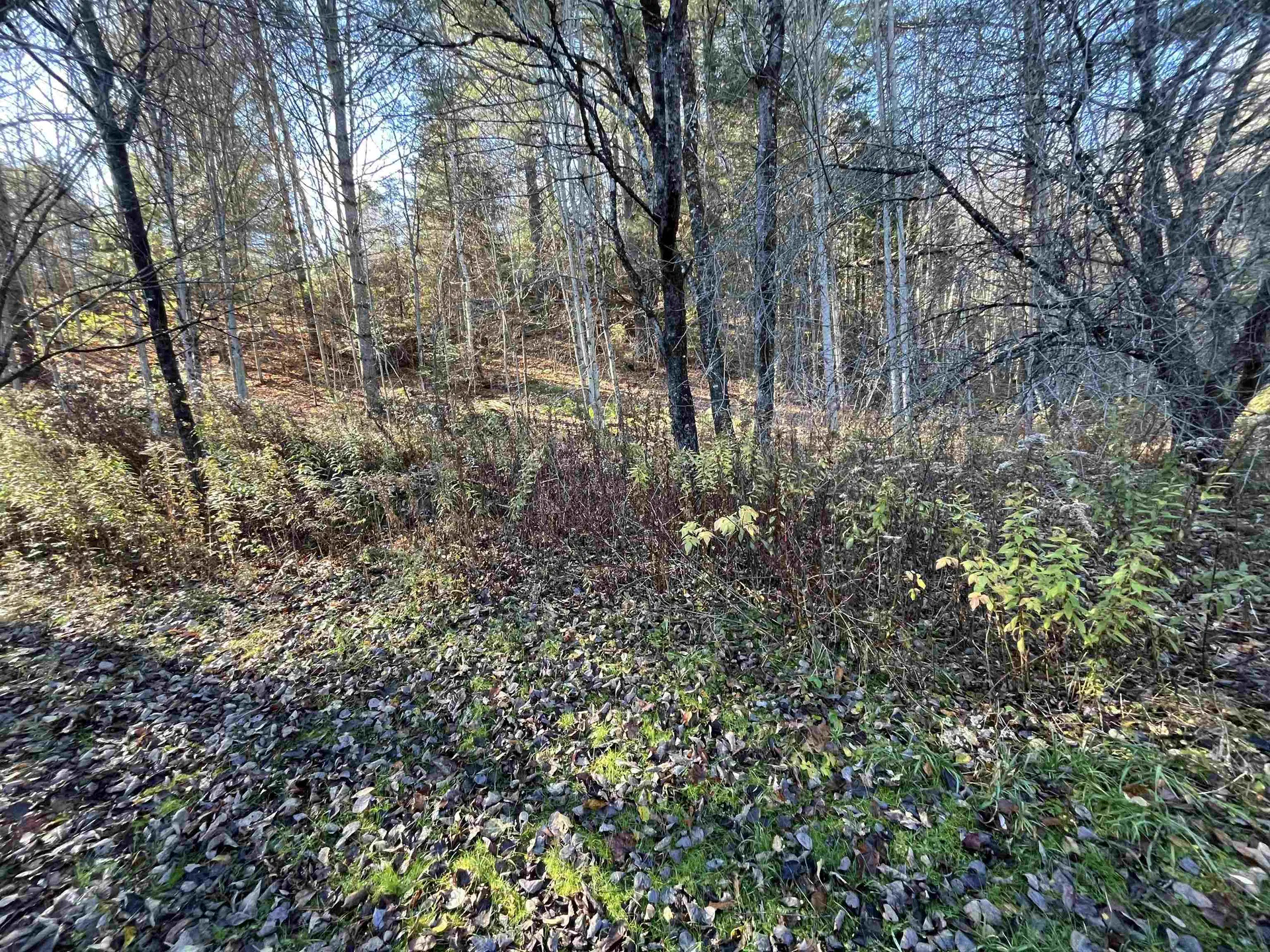 191 Shady Rill Road Middlesex VT 05602