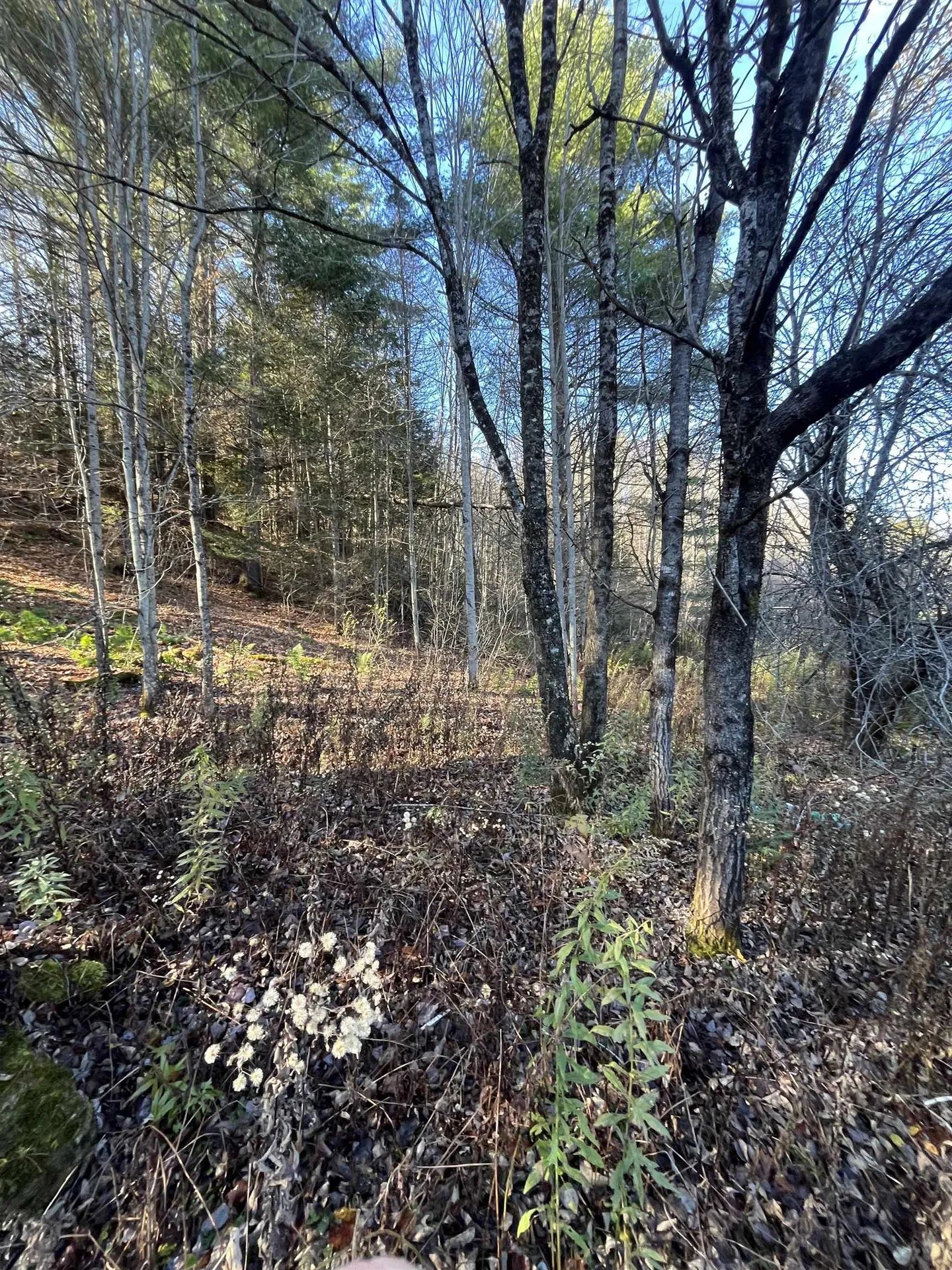 191 Shady Rill Road Middlesex VT 05602