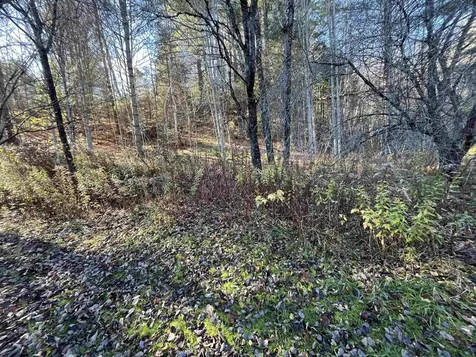 191 Shady Rill Road Middlesex VT 05602