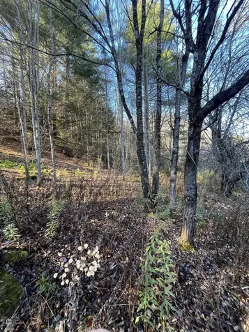 191 Shady Rill Road Middlesex VT 05602