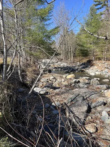 191 Shady Rill Road Middlesex VT 05602