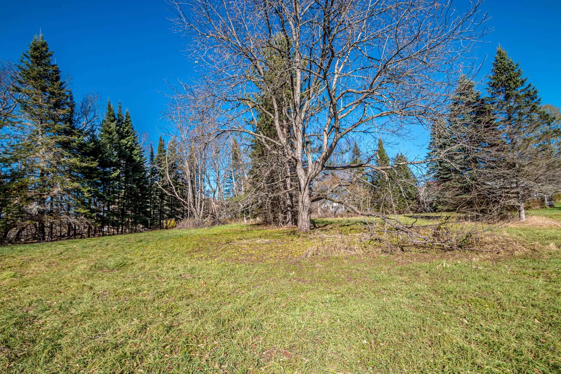 56 South Lunenburg Road Lunenburg VT 05906