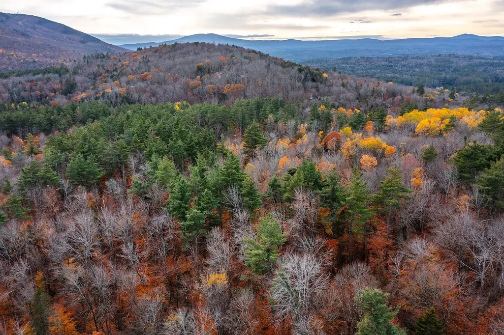 590 Howard Hill Road Londonderry VT 05148