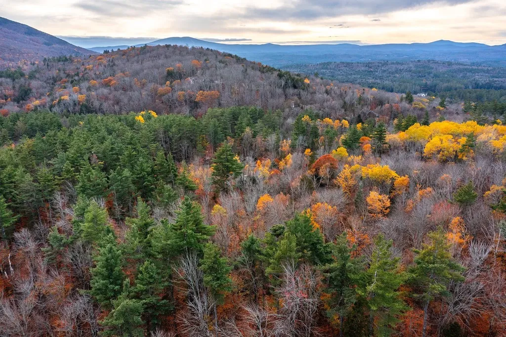 590 Howard Hill Road Londonderry VT 05148