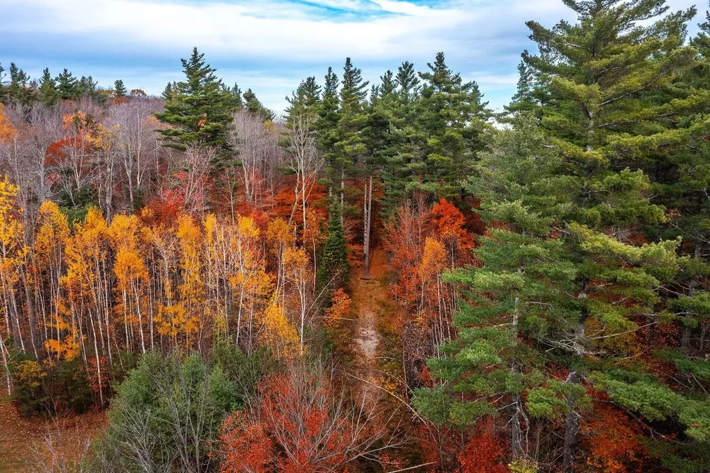 590 Howard Hill Road Londonderry VT 05148