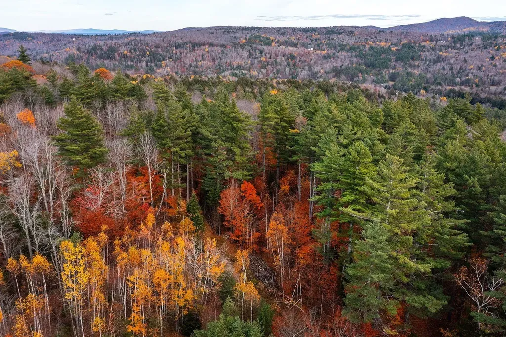 590 Howard Hill Road Londonderry VT 05148