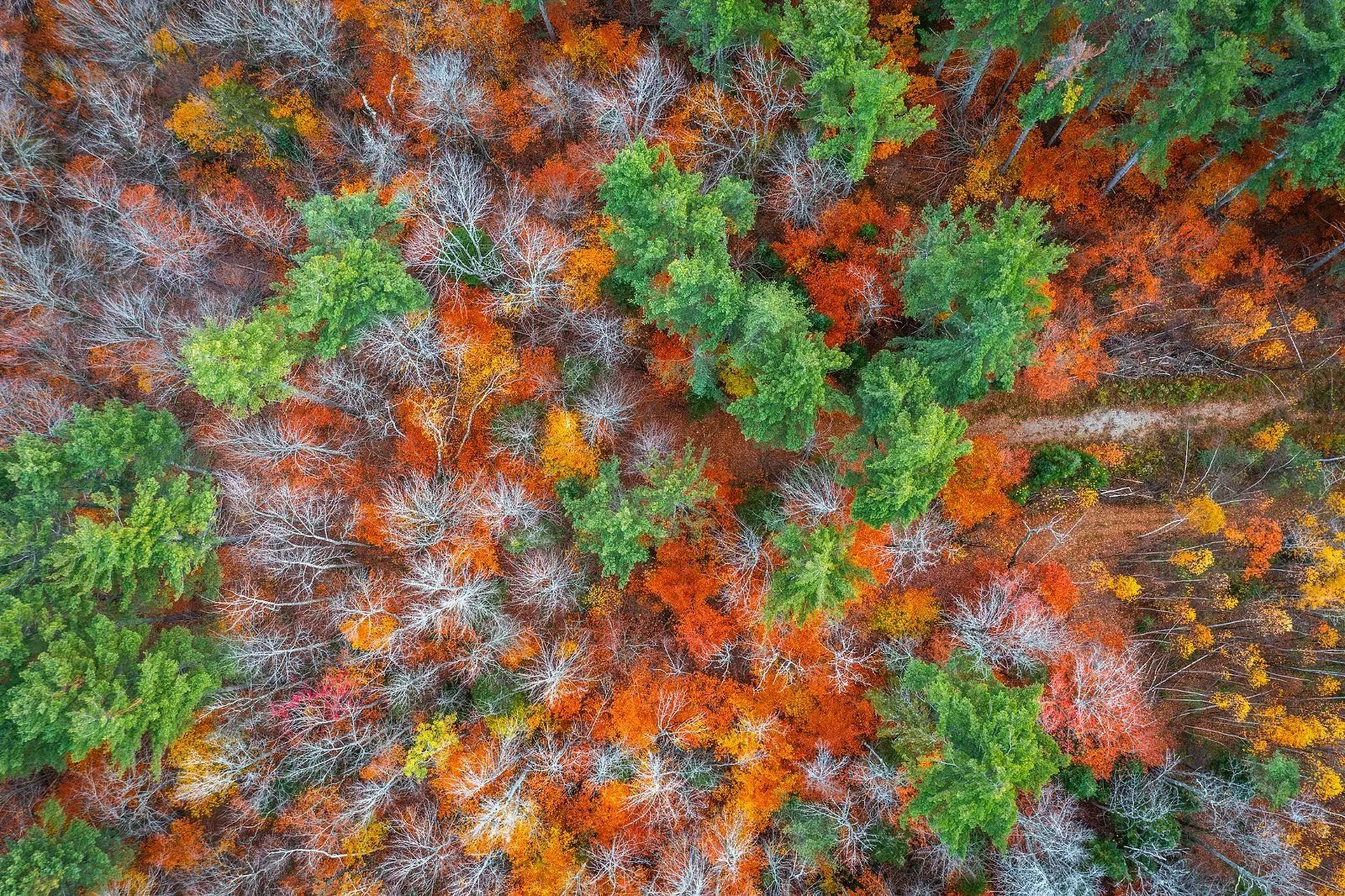 590 Howard Hill Road Londonderry VT 05148