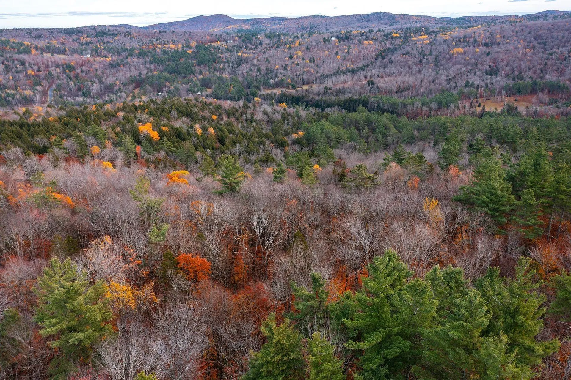 590 Howard Hill Road Londonderry VT 05148