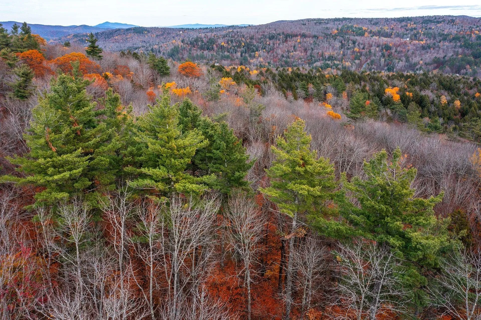 590 Howard Hill Road Londonderry VT 05148