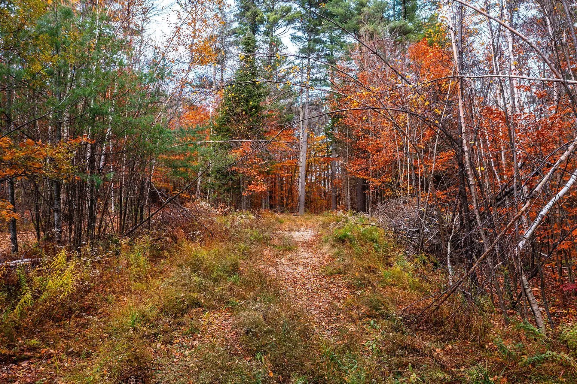 590 Howard Hill Road Londonderry VT 05148