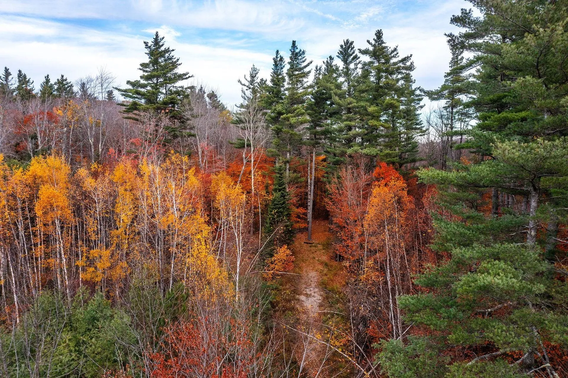 590 Howard Hill Road Londonderry VT 05148