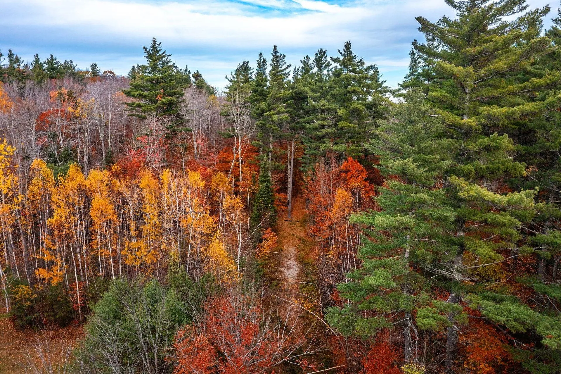 590 Howard Hill Road Londonderry VT 05148