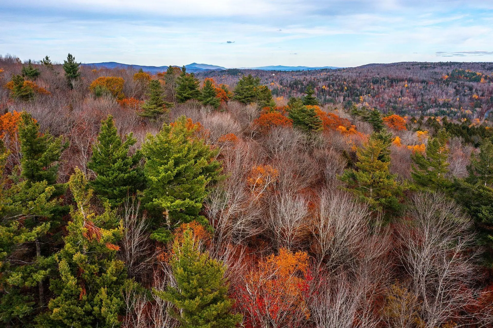 590 Howard Hill Road Londonderry VT 05148