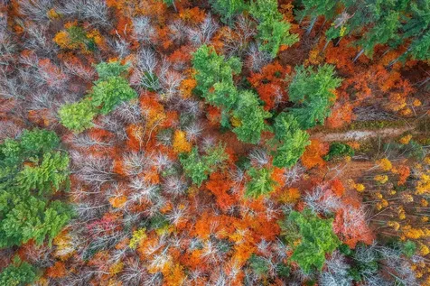 590 Howard Hill Road Londonderry VT 05148