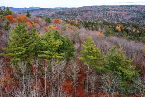 590 Howard Hill Road Londonderry VT 05148