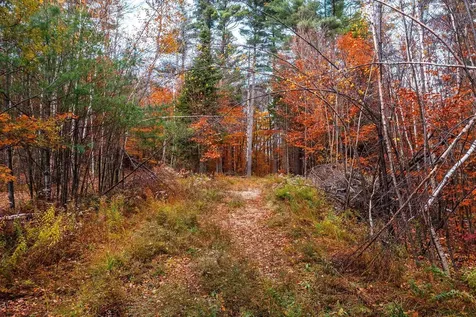 590 Howard Hill Road Londonderry VT 05148