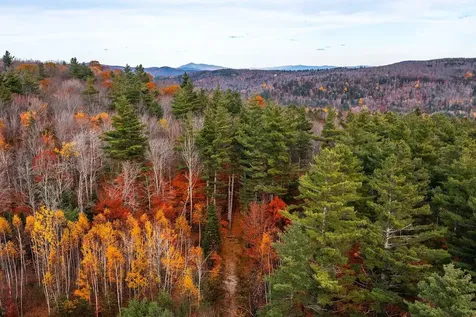 590 Howard Hill Road Londonderry VT 05148