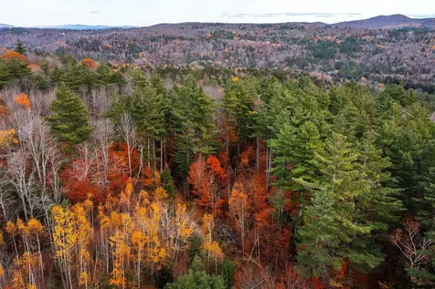 590 Howard Hill Road Londonderry VT 05148