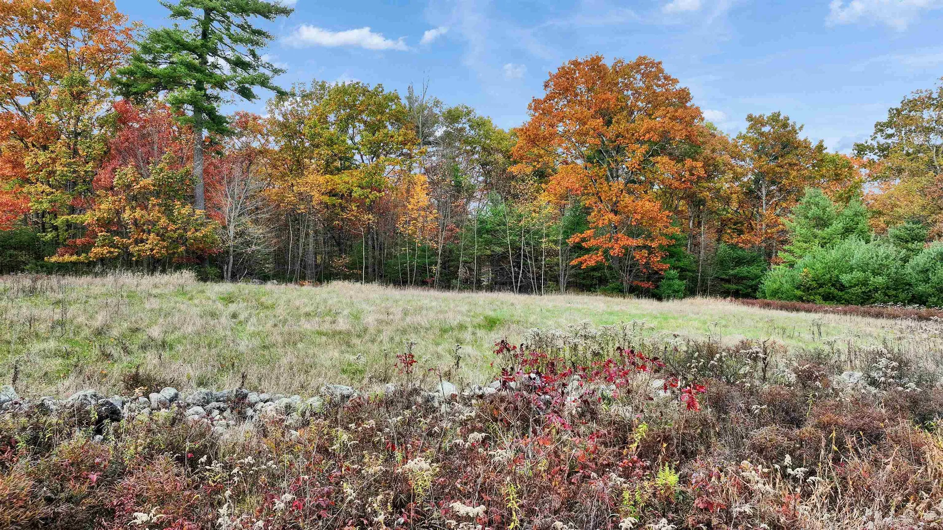 7 Winterberry Road Brookline NH 03033