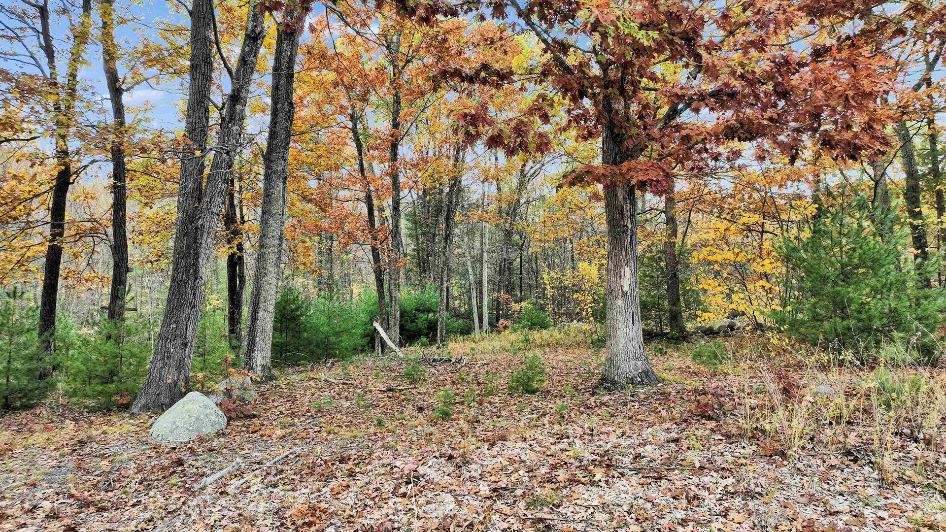 7 Winterberry Road Brookline NH 03033
