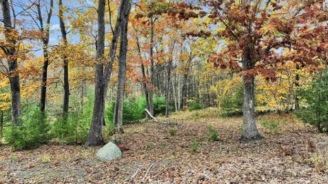 7 Winterberry Road Brookline NH 03033