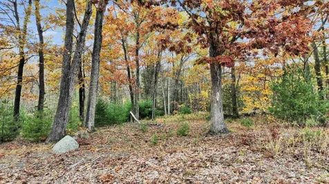 7 Winterberry Road Brookline NH 03033