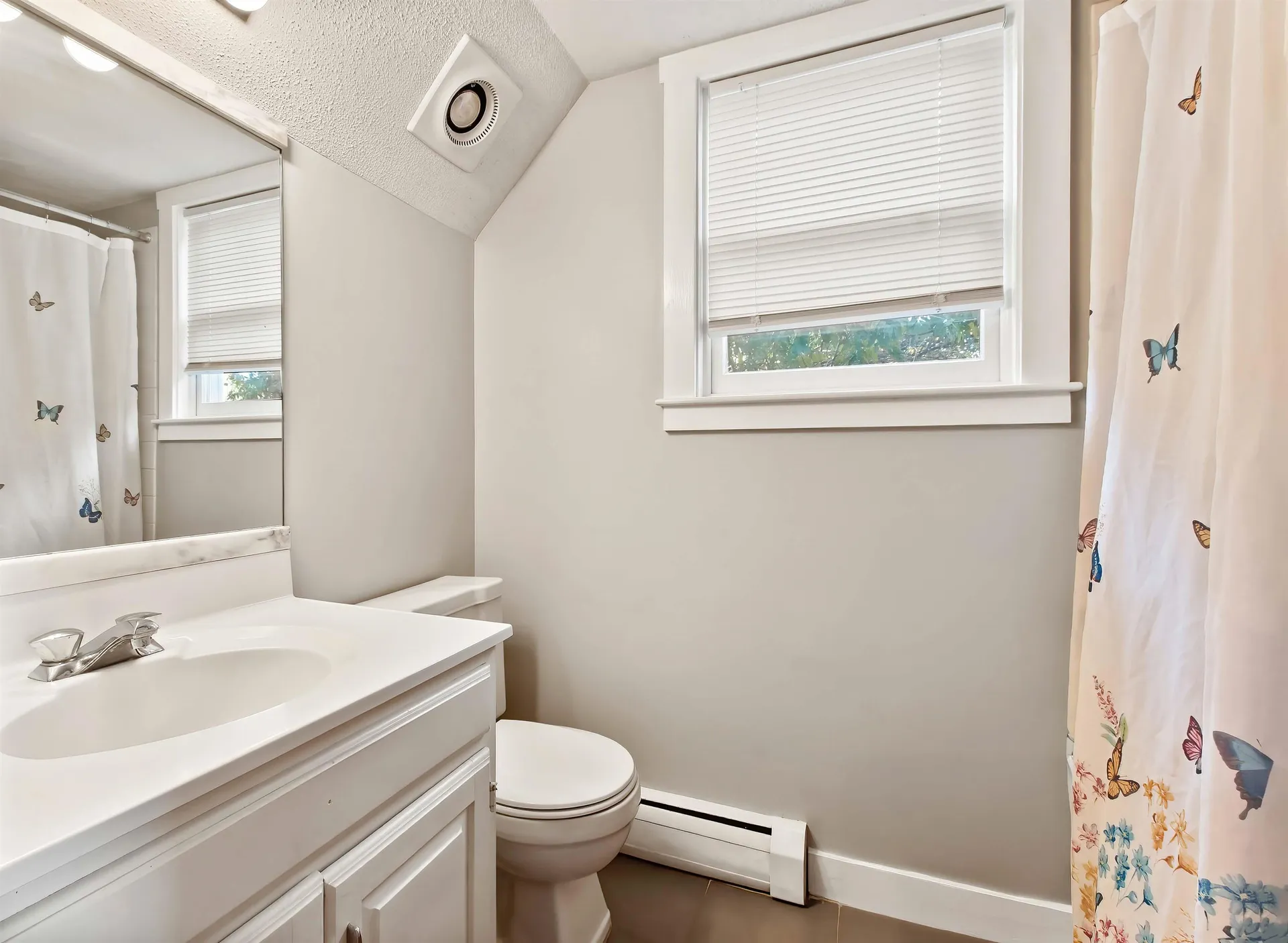 14 Lake Avenue Sunapee NH 03782