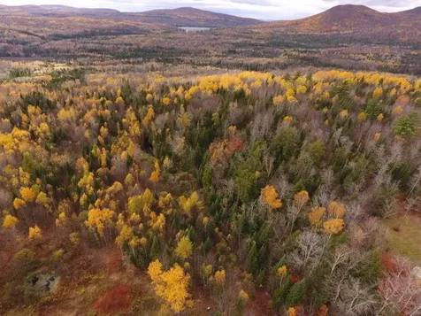 Oregon Road Concord VT 05824