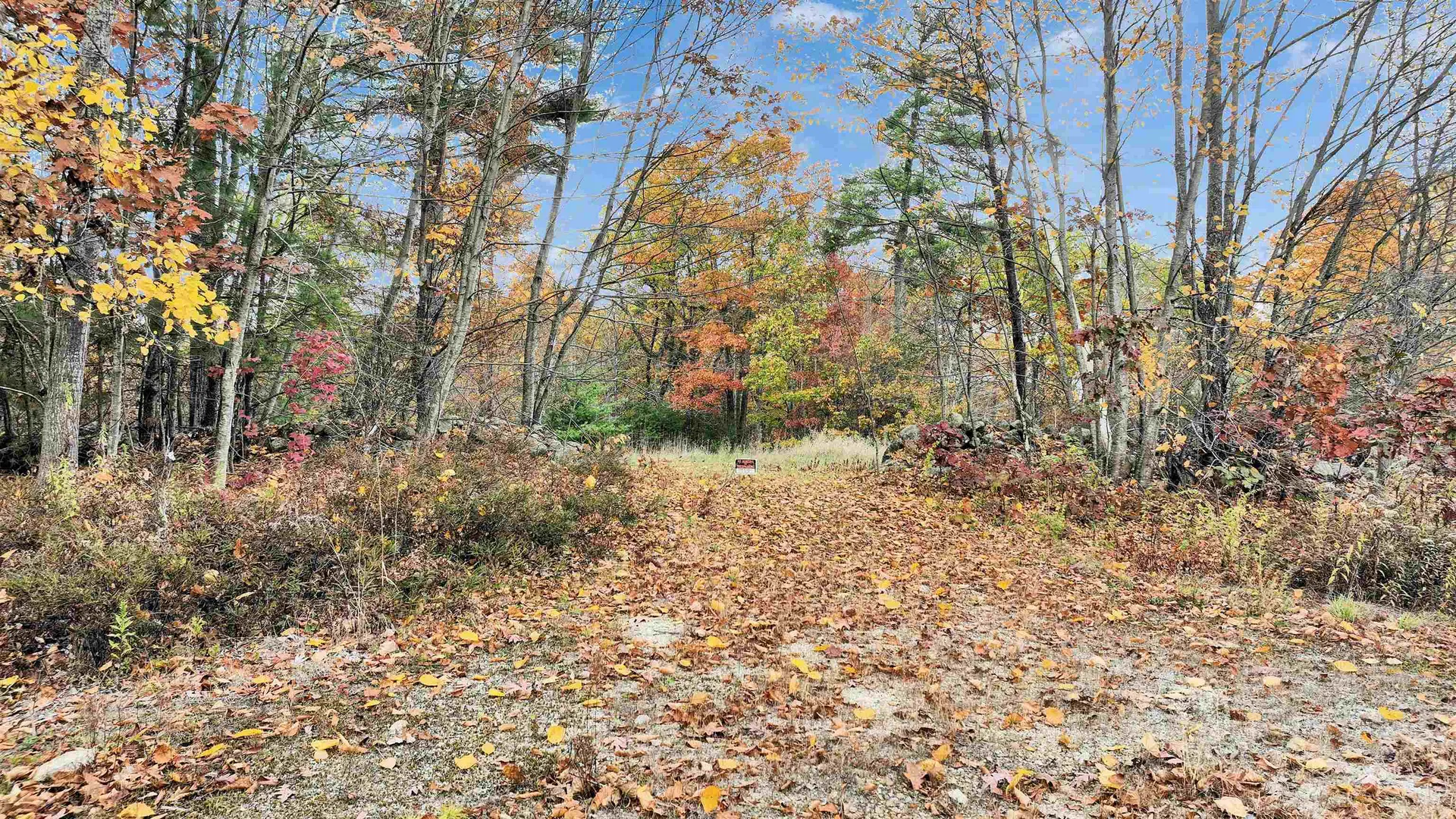 9 Winterberry Road Brookline NH 03033