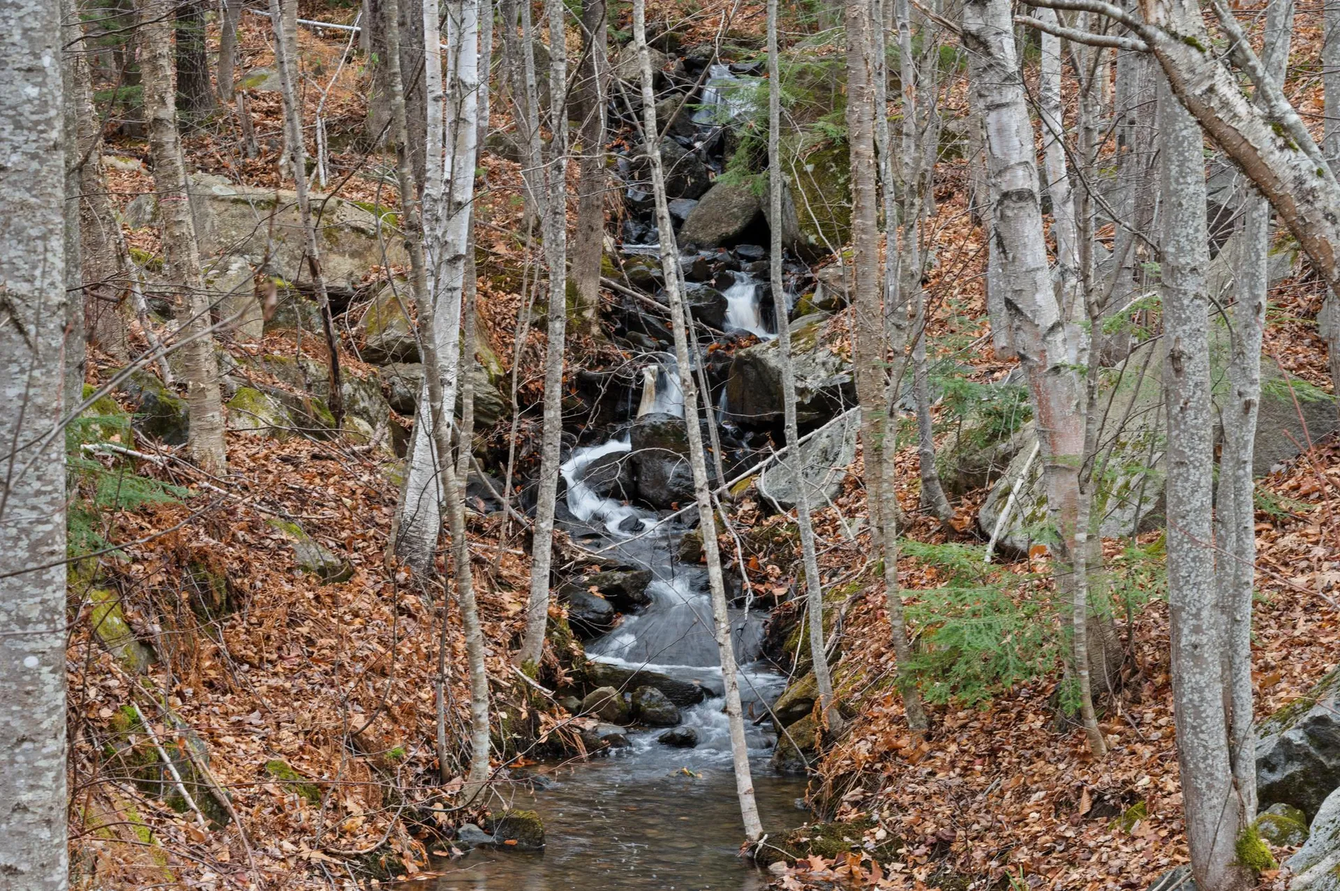 76 Davis Road Plymouth NH 03264