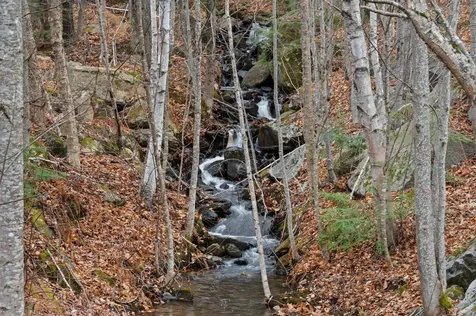 76 Davis Road Plymouth NH 03264