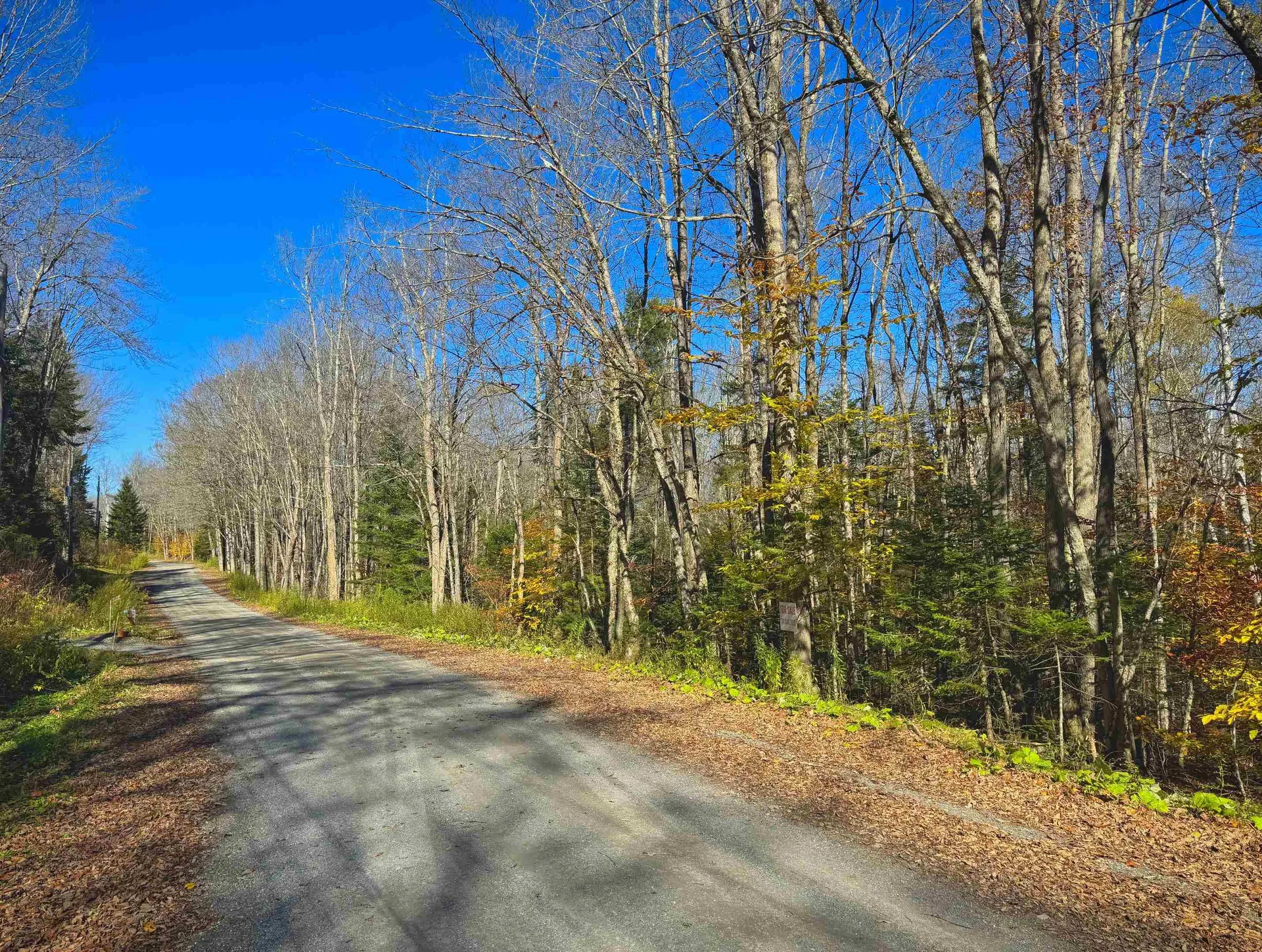 Lebensdorf Lane Readsboro VT 05350