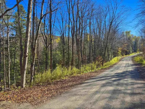 Lebensdorf Lane Readsboro VT 05350