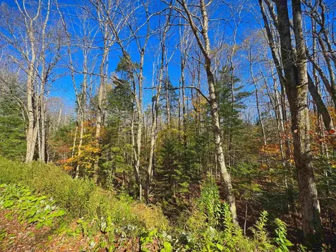 Lebensdorf Lane Readsboro VT 05350