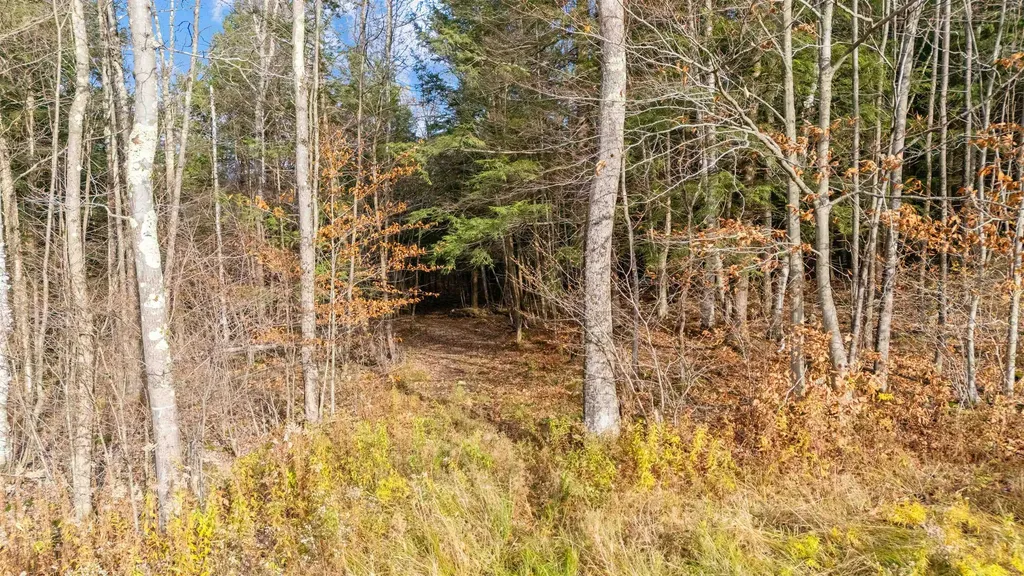 773 Ruby Brace Road Starksboro VT 05487-7290