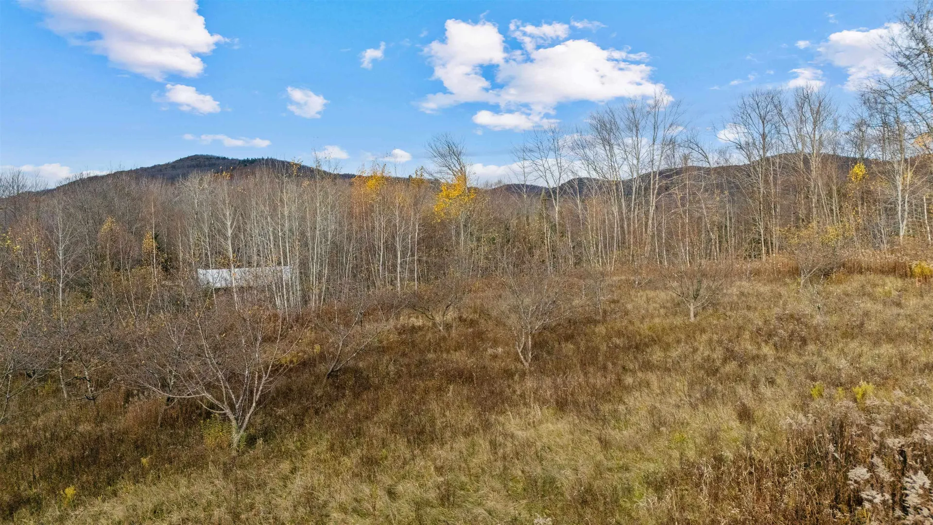 773 Ruby Brace Road Starksboro VT 05487-7290