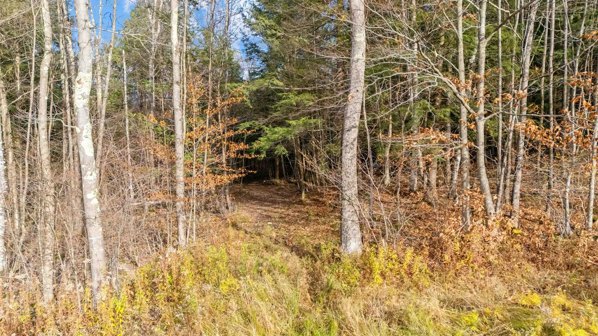 773 Ruby Brace Road Starksboro VT 05487-7290