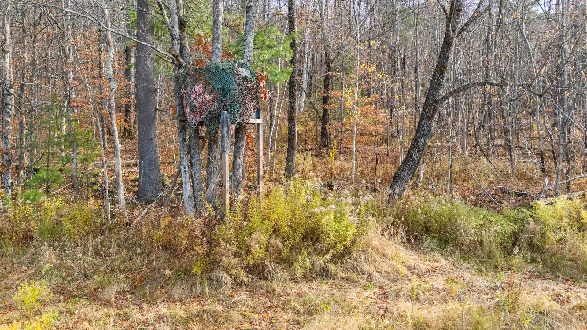 773 Ruby Brace Road Starksboro VT 05487-7290