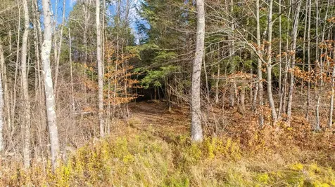 773 Ruby Brace Road Starksboro VT 05487-7290